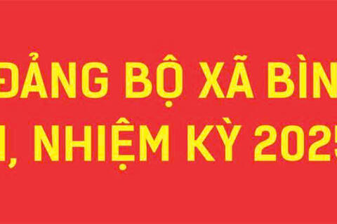 Đại hội đại biểu đảng bộ xã Bình Khê lần thứ nhất, nhiệm kỳ 2025 - 2030